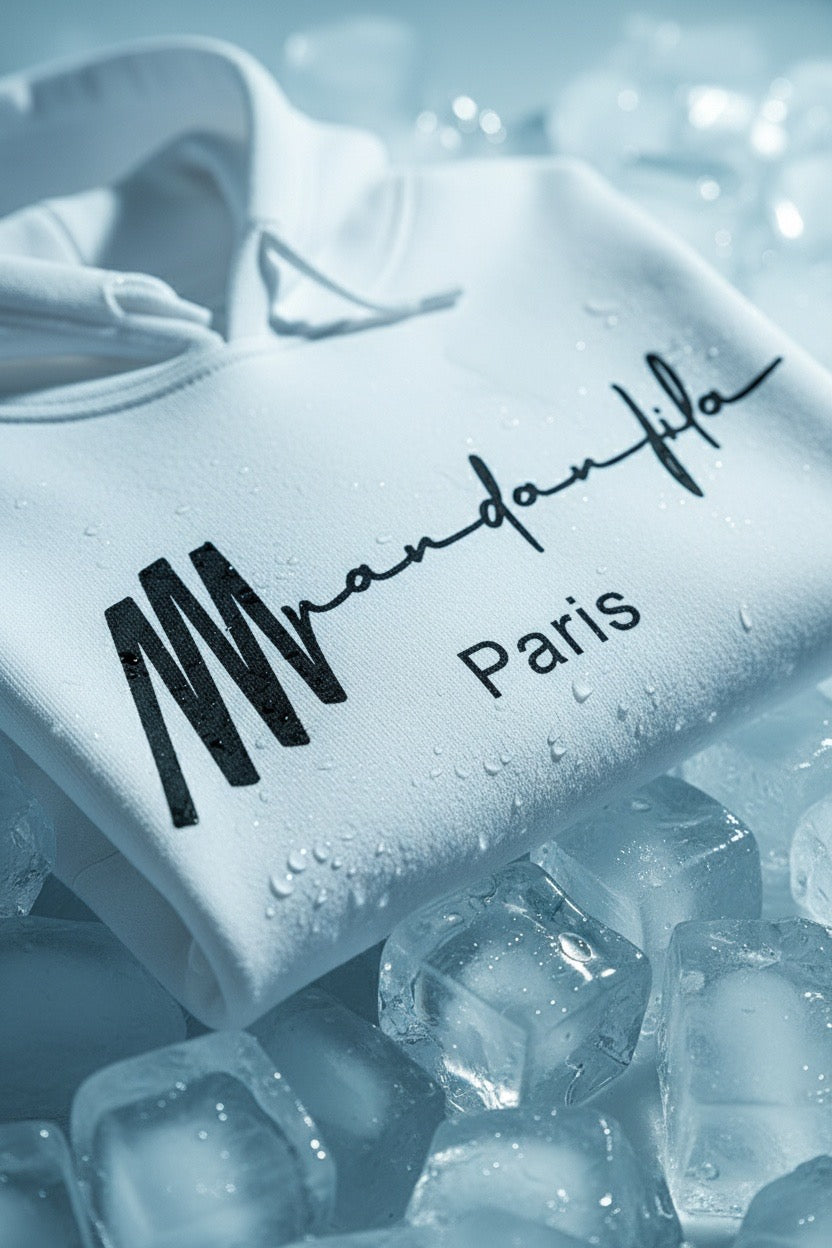 Sweat à capuche imprimé « Mpandanjila Paris »